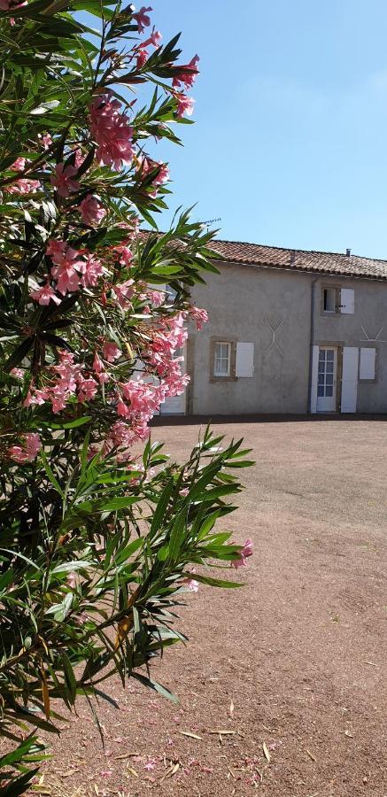 Gite "Hawai", Avec Parking Securise Appartement La Roche-sur-Yon Buitenkant foto